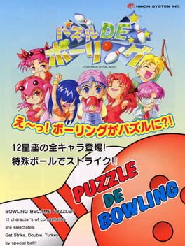 Cover Puzzle De Bowling