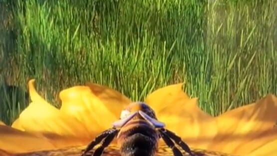 Screenshot Be a Bee 1