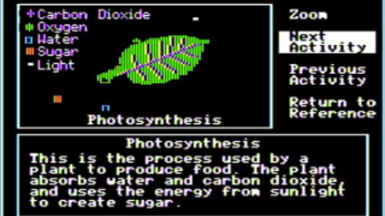 Screenshot Investigating Plant Growth 1