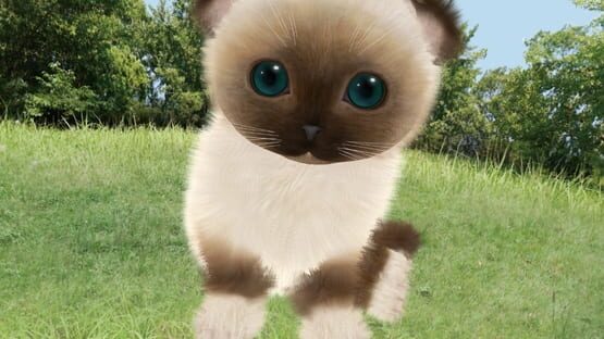 Screenshot Aabs Animals 2