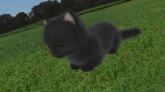 Screenshot Aabs Animals 3