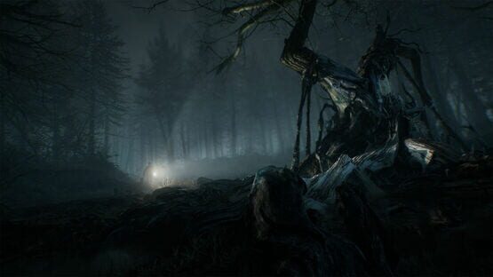 Screenshot Blair Witch: Deluxe Edition 2