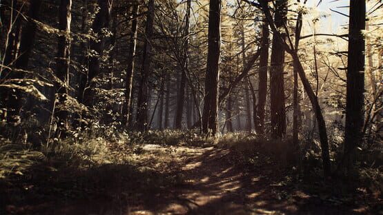 Screenshot Blair Witch 1