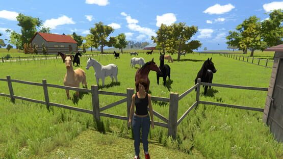 Screenshot My Little Riding Champion 2