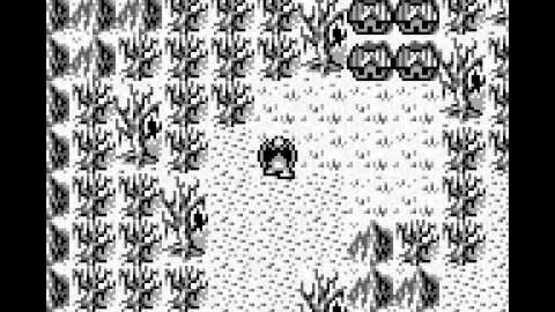 Screenshot Gargoyle's Quest 2