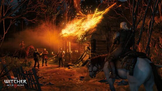 Screenshot The Witcher 3: Wild Hunt 3