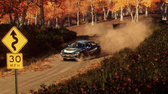 Screenshot DiRT Rally 2.0: Day One Edition 2