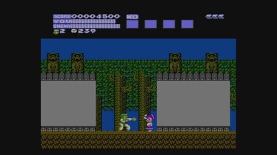 Screenshot Flying Dragon: The Secret Scroll 2
