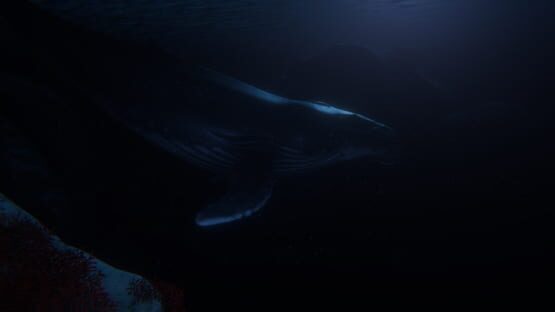 Screenshot Beyond Blue 1