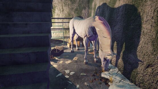 Screenshot Lucid Cycle 2