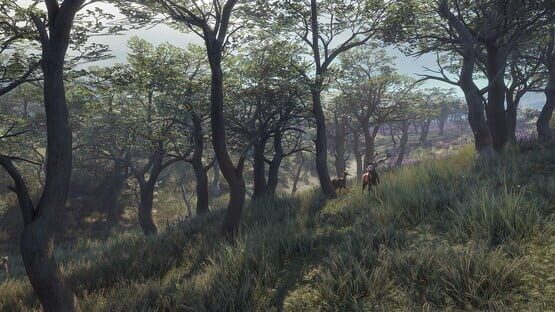 Screenshot TheHunter: Call of the Wild - 2021 Edition 3