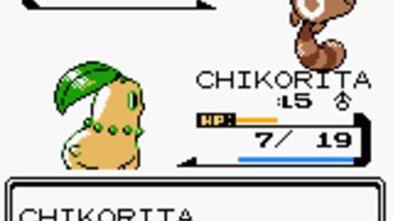 Screenshot Pokémon Silver Version 3