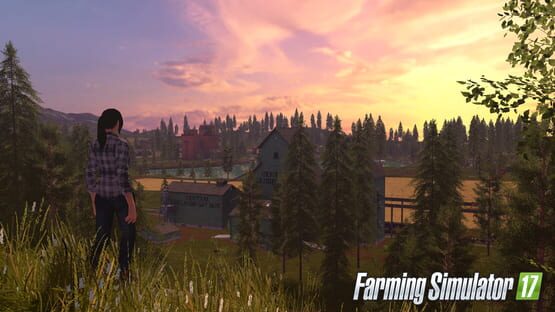 Screenshot Farming Simulator 17 3