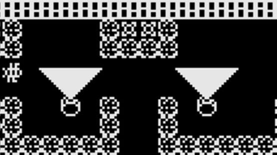 Screenshot Zoo at Midnight 2