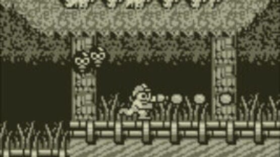 Screenshot Mega Man II 3