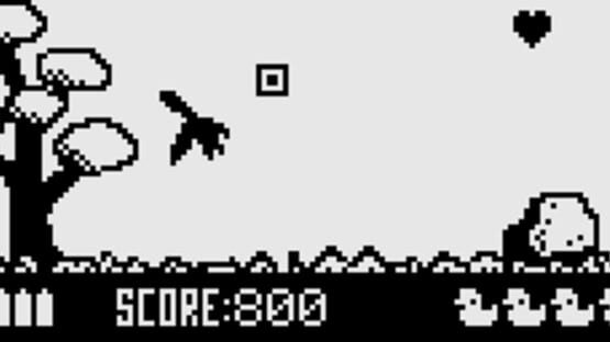 Screenshot Mallard Hunt 1