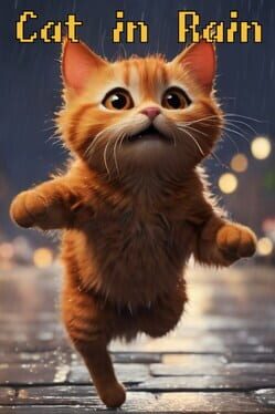 Cover Cat in Rain