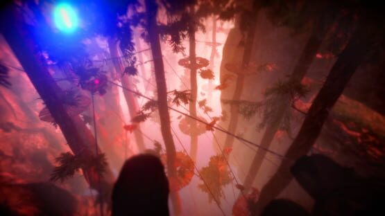 Screenshot Light & Dark Bundle 2