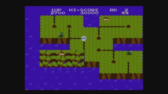 Screenshot Dig Dug II: Trouble in Paradise 2