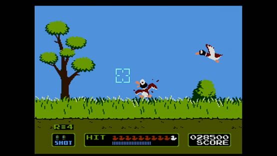 Screenshot Duck Hunt 1