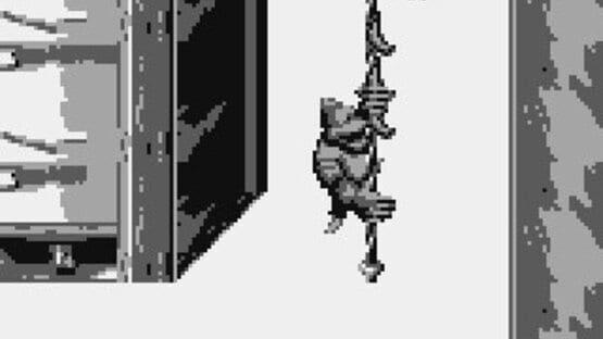 Screenshot Donkey Kong Land III 1
