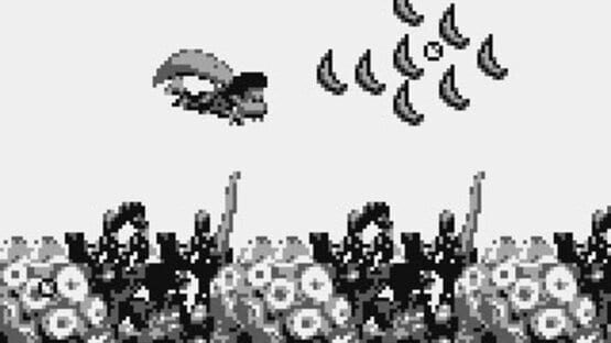 Screenshot Donkey Kong Land III 3