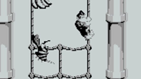Screenshot Donkey Kong Land 2