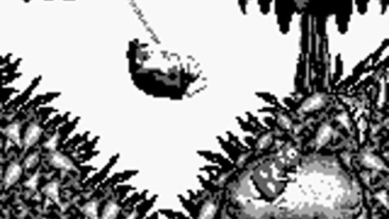 Screenshot Donkey Kong Land 3