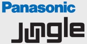 Immagine Initial version