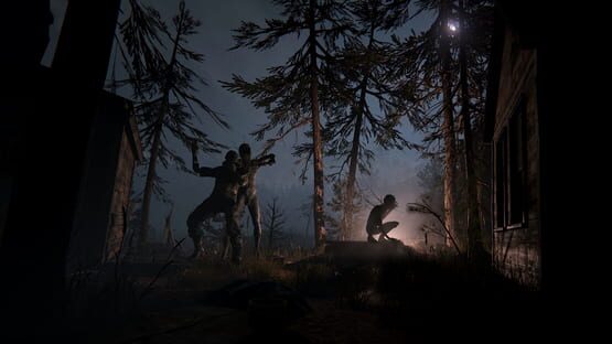 Screenshot Outlast II 2