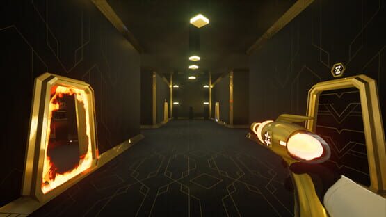 Screenshot Faraday Protocol 2