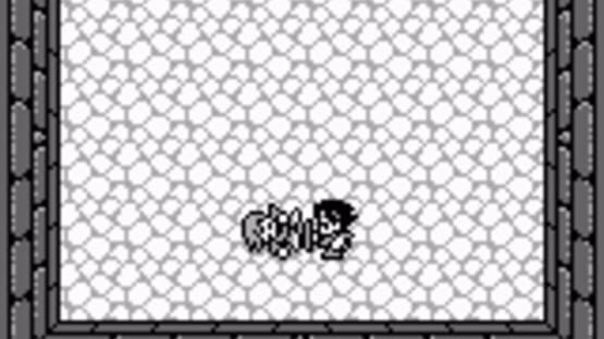 Screenshot Final Fantasy Adventure 1