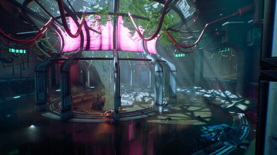 Screenshot Transient 2