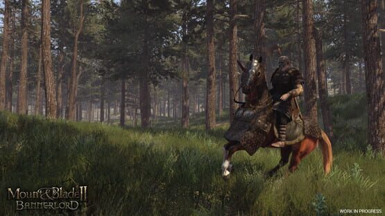 Screenshot Mount & Blade II: Bannerlord 3