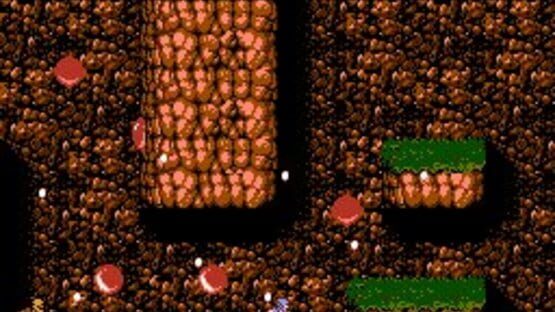 Screenshot Ninja Gaiden II: The Dark Sword of Chaos 2