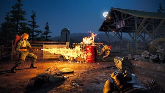 Screenshot Far Cry 5: Gold Edition 2
