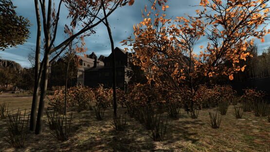 Screenshot Pineview Drive 2