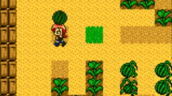 Screenshot Harvest Moon 2 GBC 1