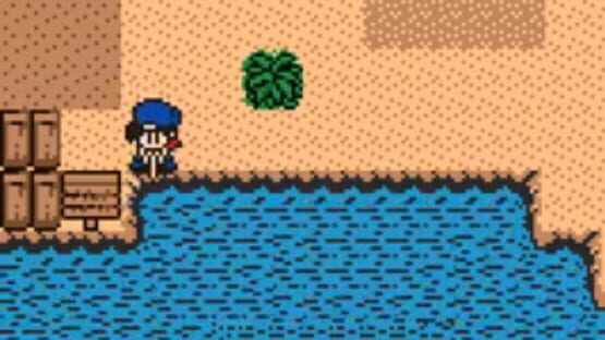 Screenshot Harvest Moon 2 GBC 2