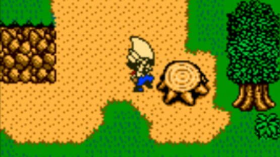 Screenshot Harvest Moon 3 GBC 3