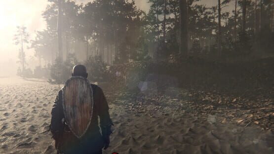 Screenshot Nested Lands 3