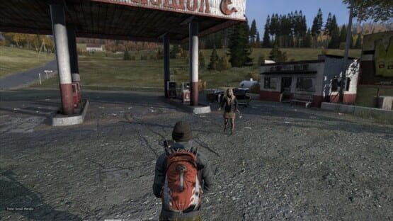 Screenshot DayZ 1