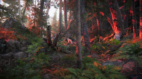 Screenshot The Forest Cathedral 1