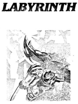 Cover Labyrinth