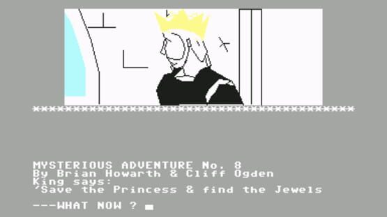 Cover The Wizard of Akryz
