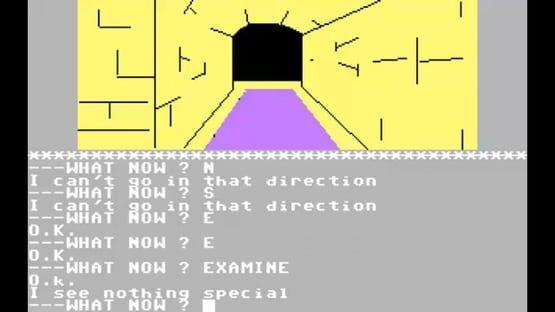Screenshot The Wizard of Akyrz 1