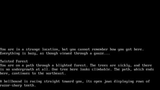 Screenshot Sorcerer 1