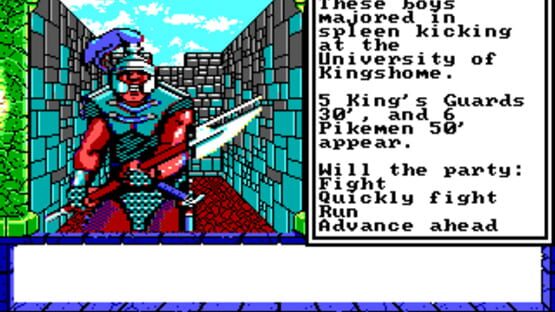 Screenshot Dragon Wars 2