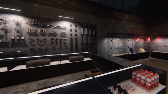 Screenshot Phasmophobia 3