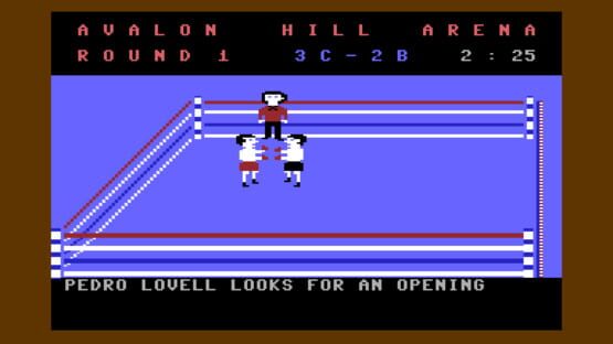 Screenshot Computer Title Bout 1